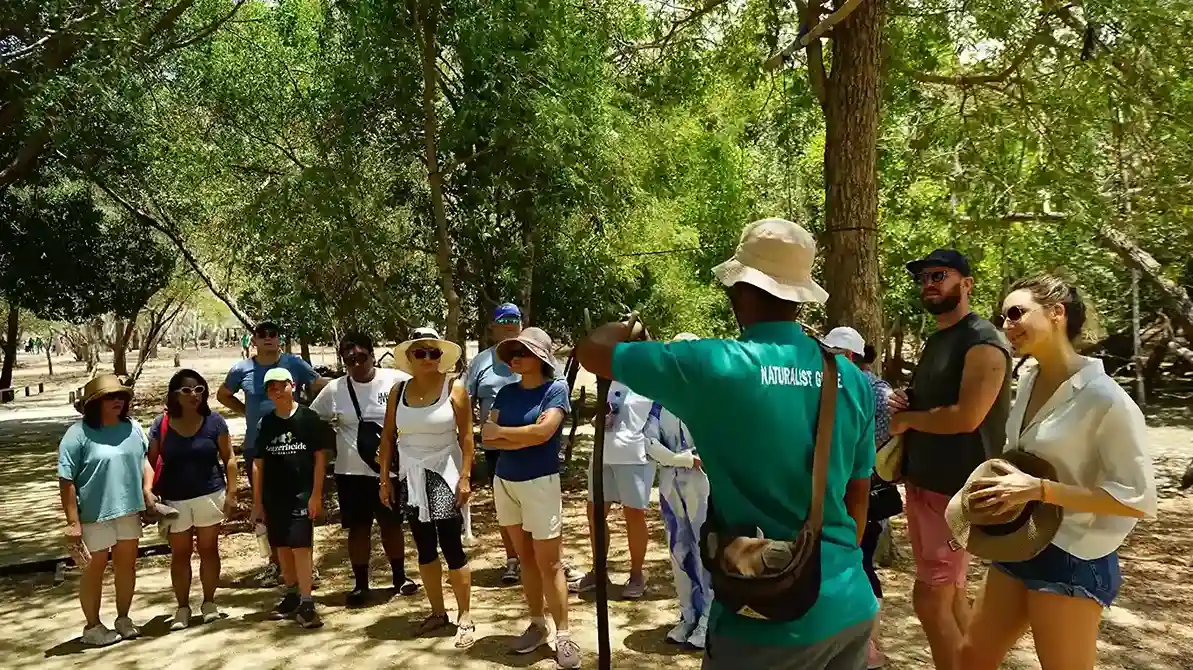 Trekking with a ranger on Komodo Island | Komodo Luxury