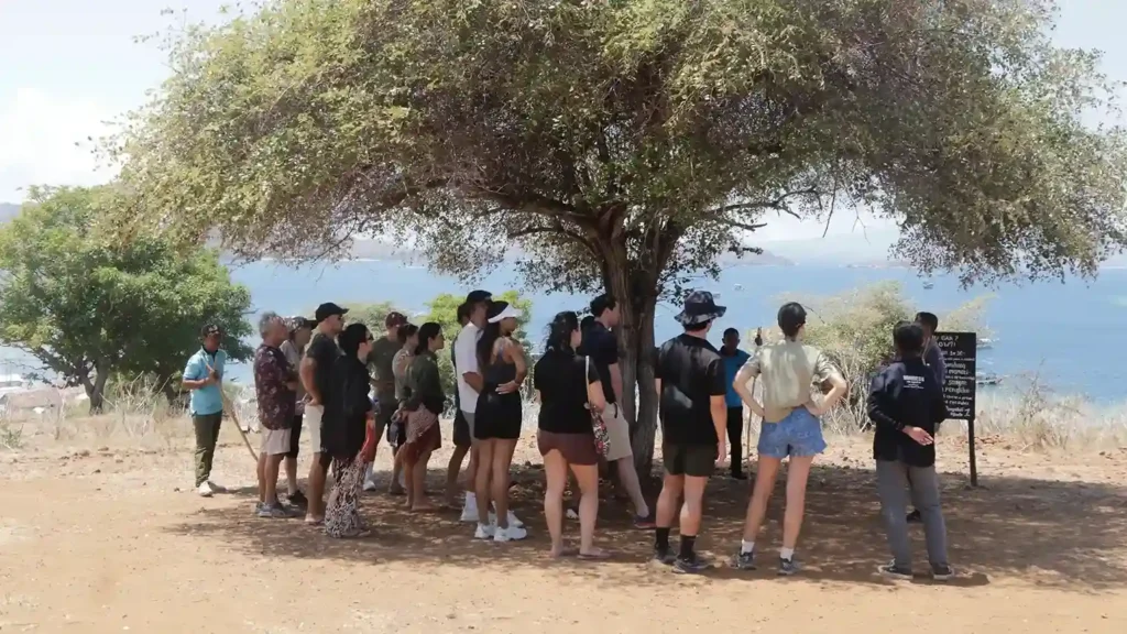 Trekking with Ranger in Komodo Island | Komodo Island Tour | Komodo Luxury