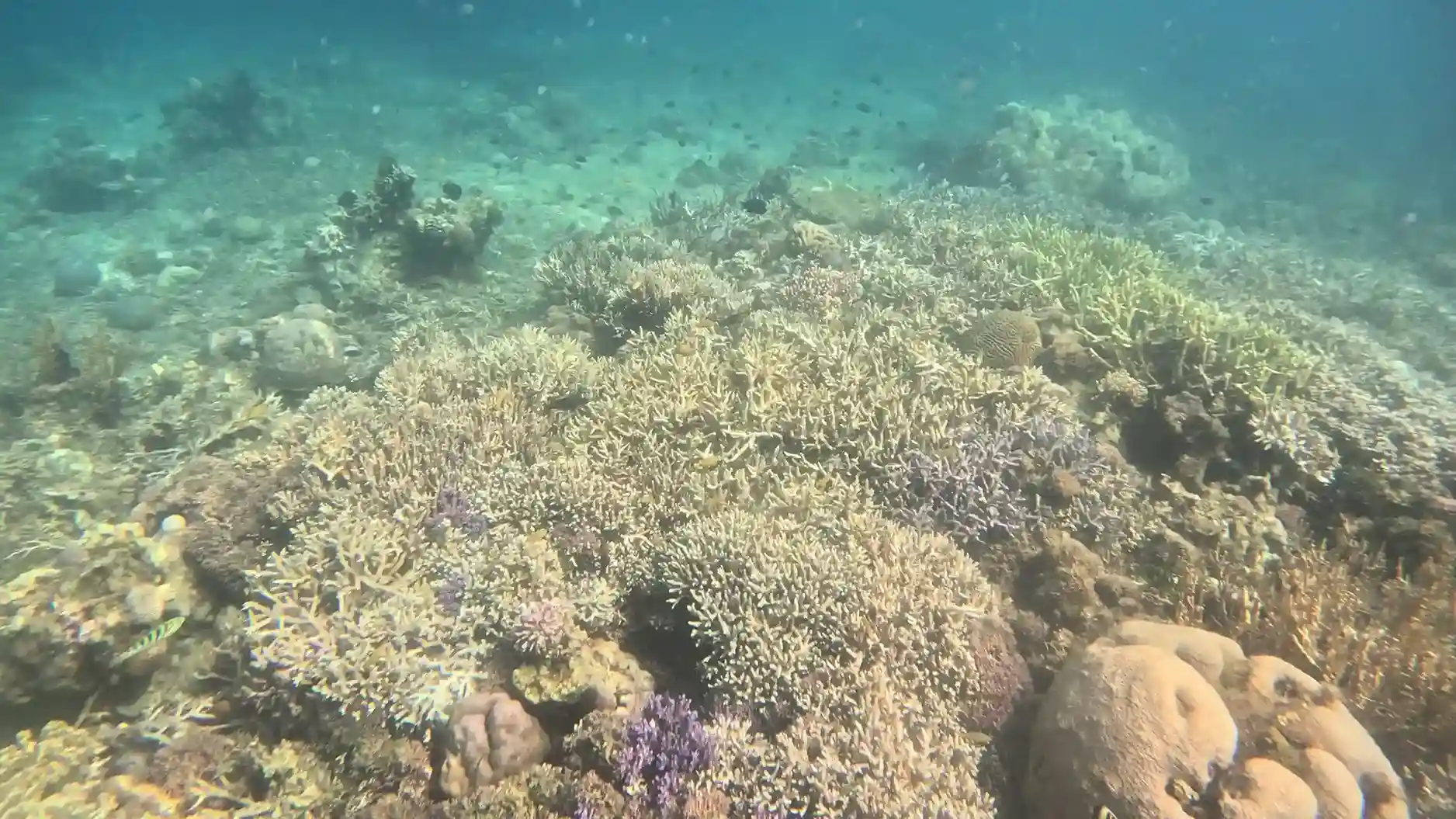 Mawan Island