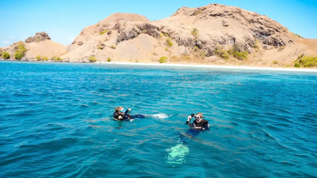 Diving Komodo Island | Komodo Island Tour | Komodo Luxury