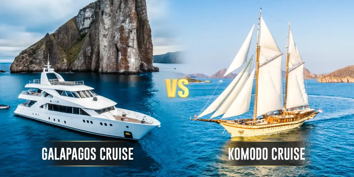 Galapagos Cruise vs Komodo Cruise | Komodo Island Tour | Komodo Luxury