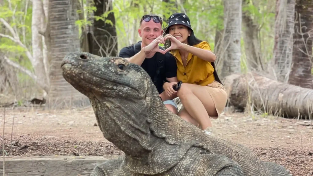 Wildlife Encounter | Honeymoon Yacht Charters in Indonesia | Komodo Luxury