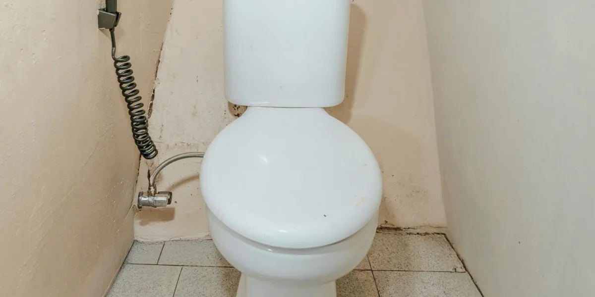 Marea Phinisi Boat Charter | Sharing Cabin 2 | Komodo Tour | Komodo Luxury