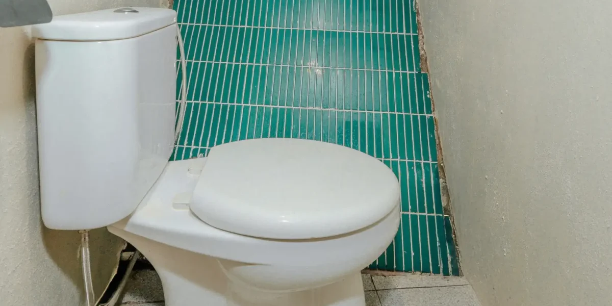 Marea Phinisi Boat Charter | Sharing Cabin 3 | Komodo Tour | Komodo Luxury