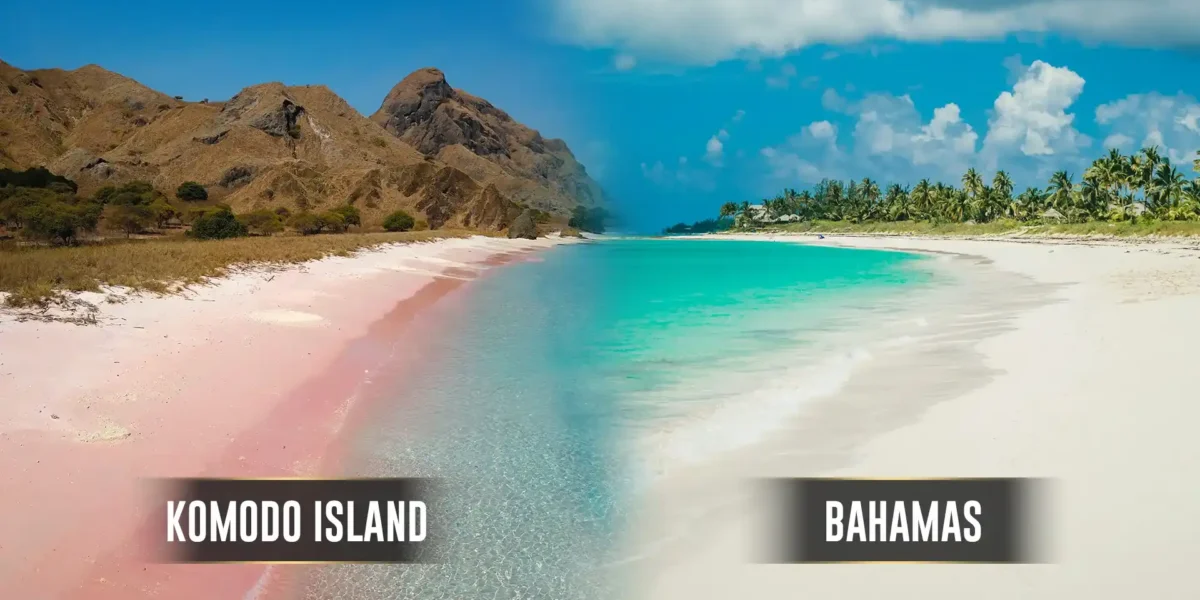 Komodo Isladn vs Bahamas | Komodo Luxury