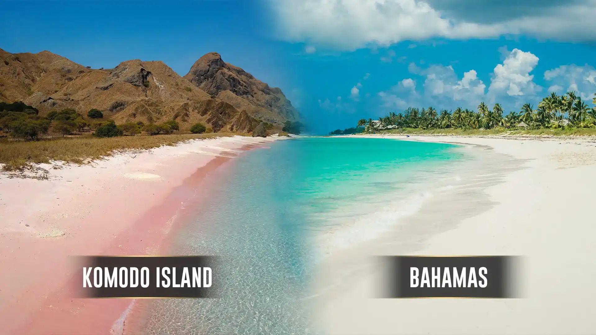 Komodo Isladn vs Bahamas | Komodo Luxury