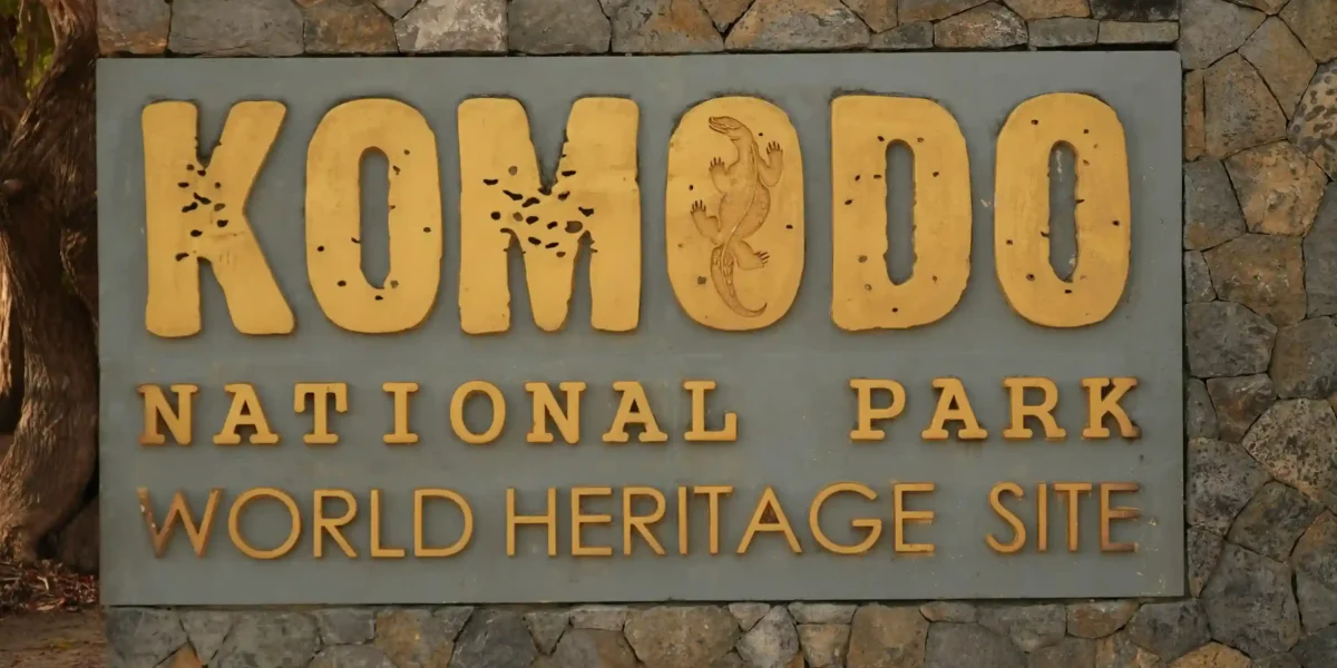 Komodo Island | Komodo National Park | Komodo Island Tour | Komodo Luxury
