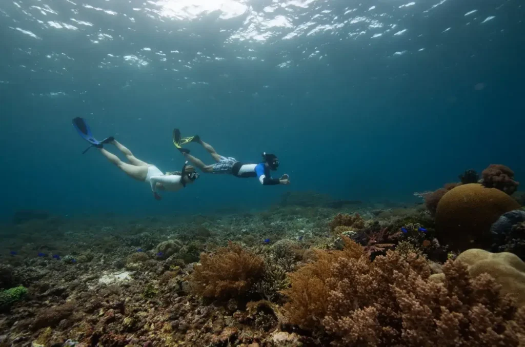 Guests Snorkeling in Komodo Island | Komodo Luxury