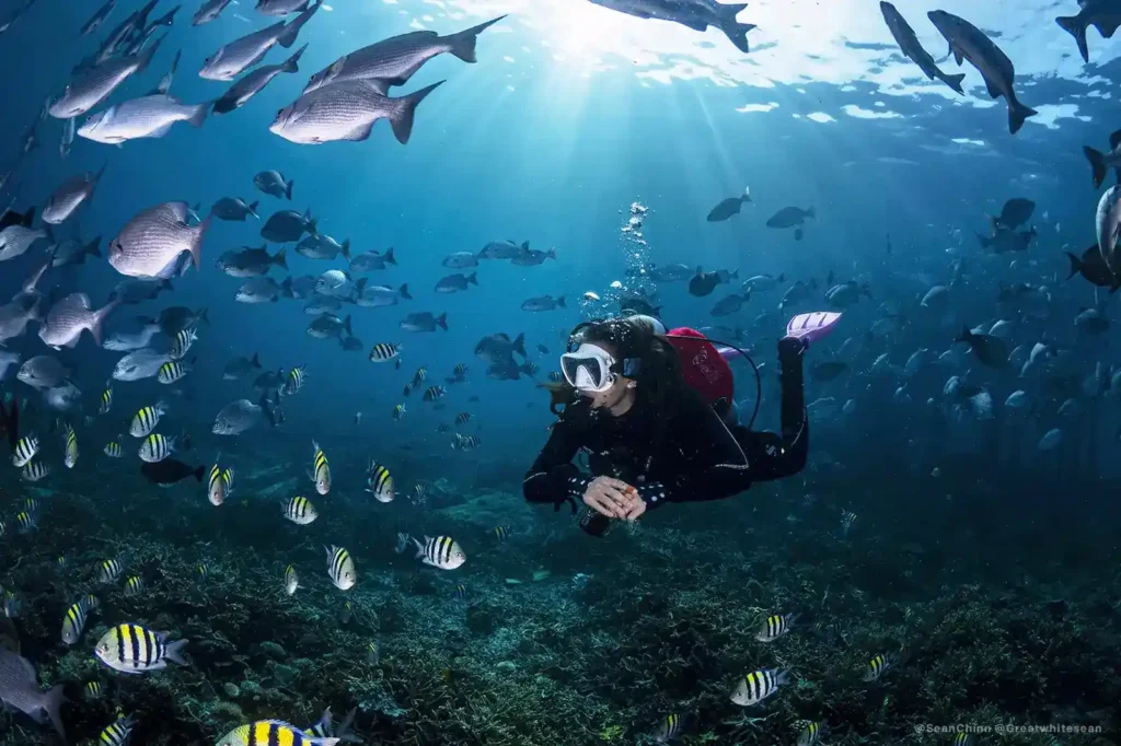 Momment With KomodoLuxury | Diving with Komodo Luxury