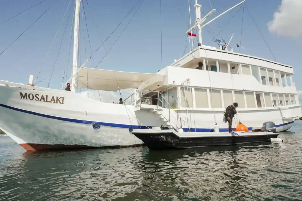 Mosalaki Phinisi Boat Charter | Mosalaki Phinisi Diving | Komodo Luxury
