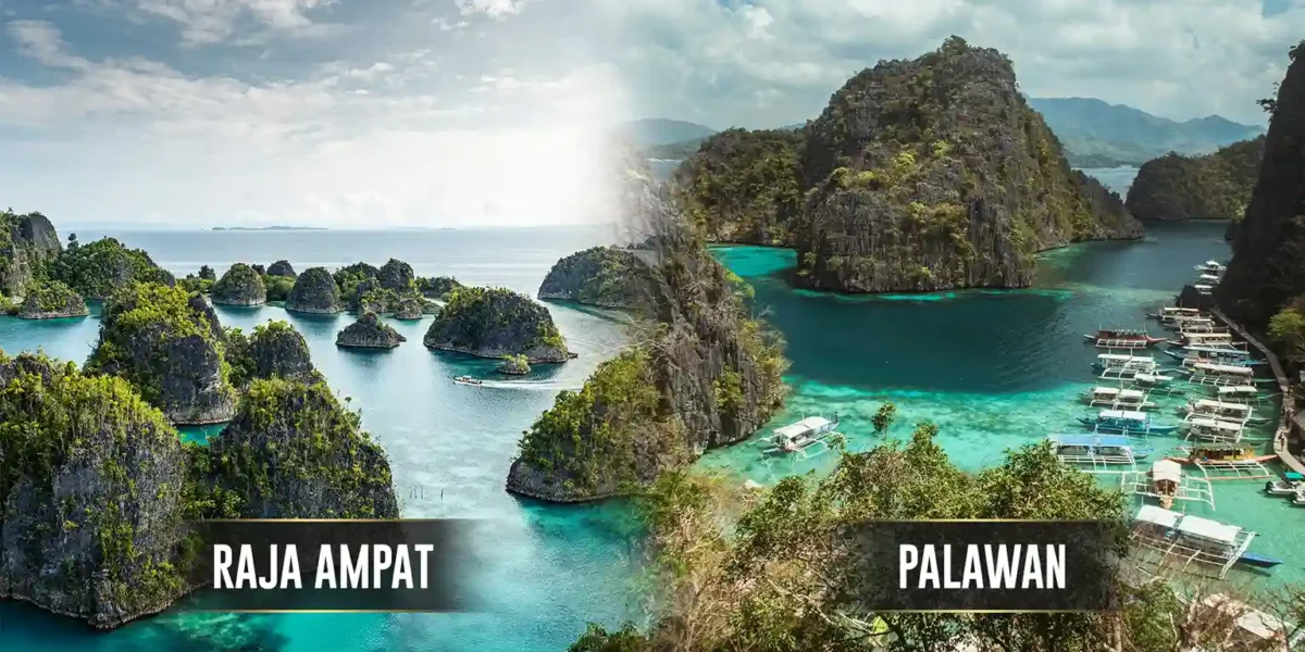 Raja Ampat vs Palawan | Komodo Luxury