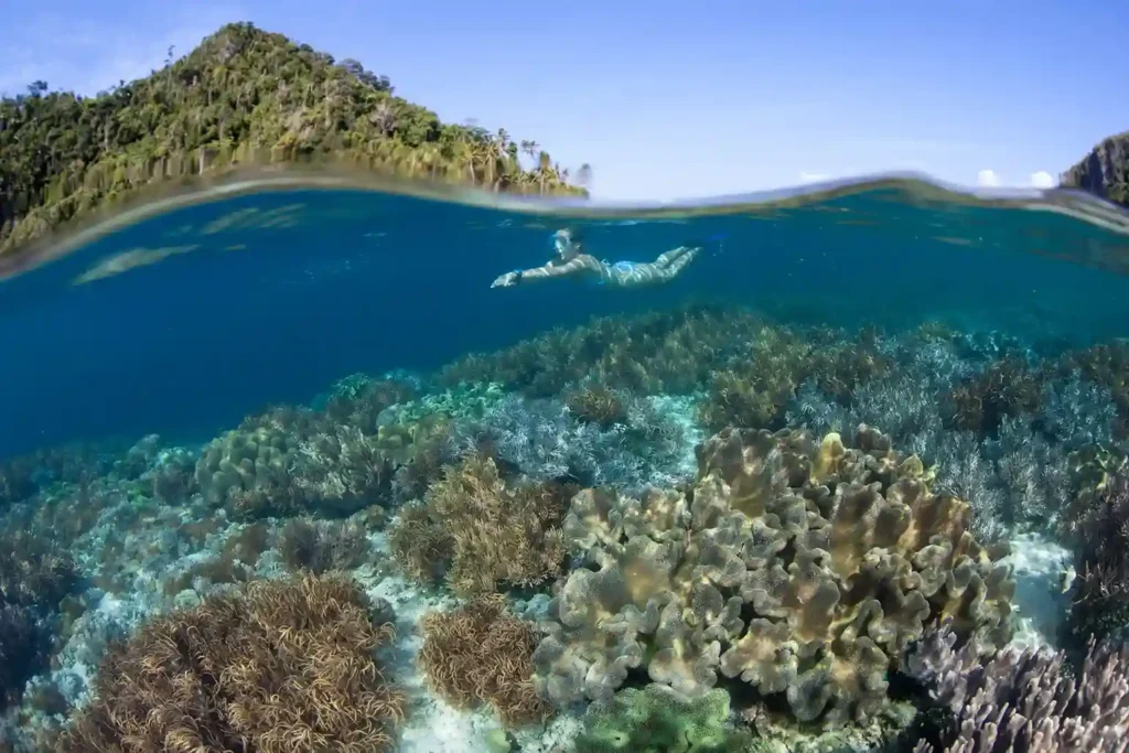 Sebayur Island Snorkeling | Komodo Luxury