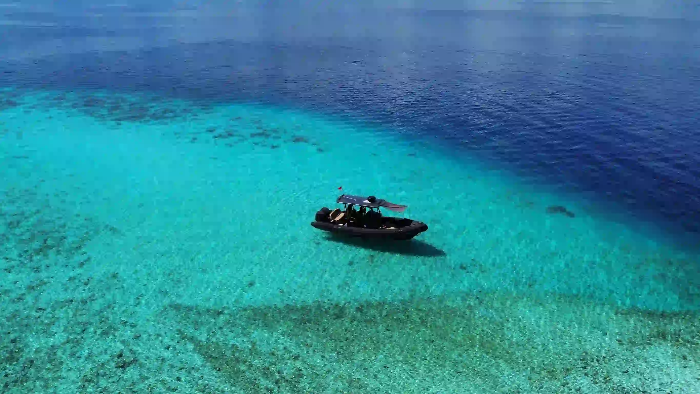 Exterior Typhoon Speedboat | Komodo Tour | Komodo Luxury