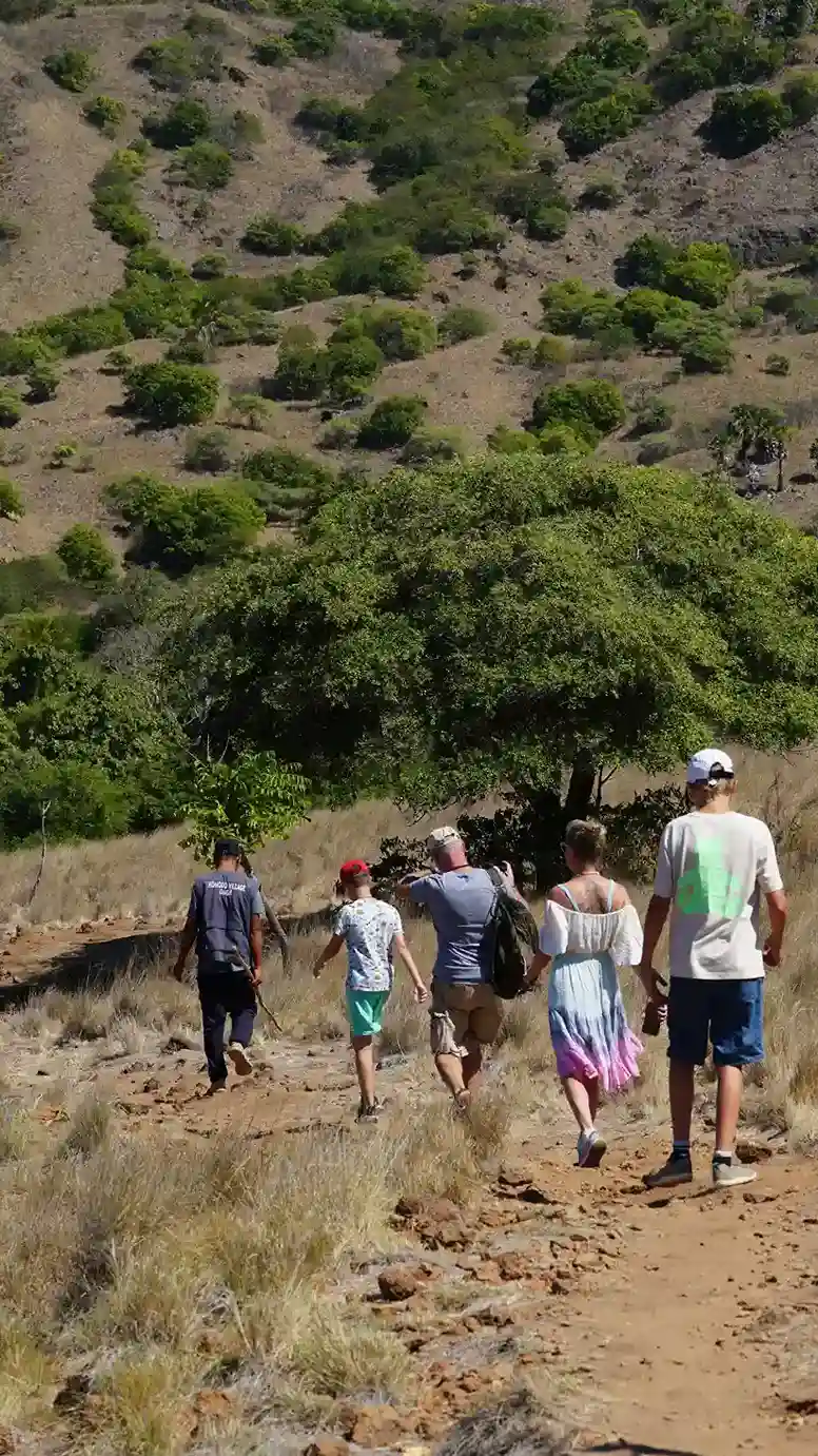 Rinca Island on Komodo National Park | Komodo Island Tour | Komodo Luxury