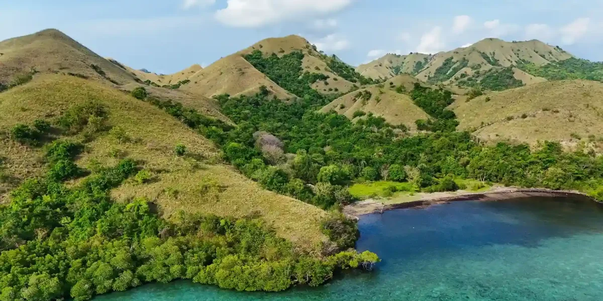Invest Komodo | Invest Land Komodo | Invest Labuan Bajo