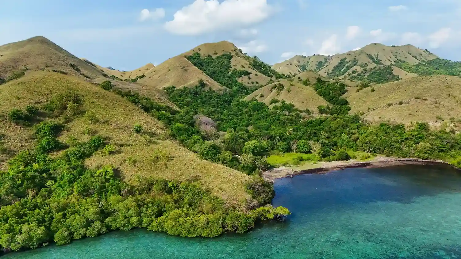 Invest Komodo | Invest Land Komodo | Invest Labuan Bajo