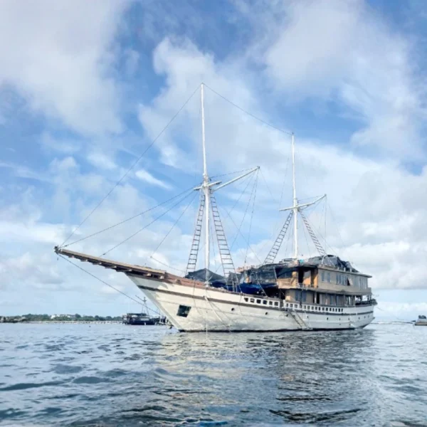 Bhavana Liveaboard Exterior | Raja Ampat Tour | Komodo Luxury