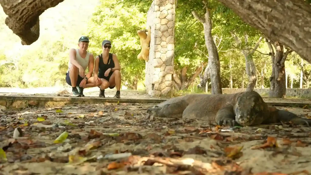 Komodo Dragon | Komodo Luxury