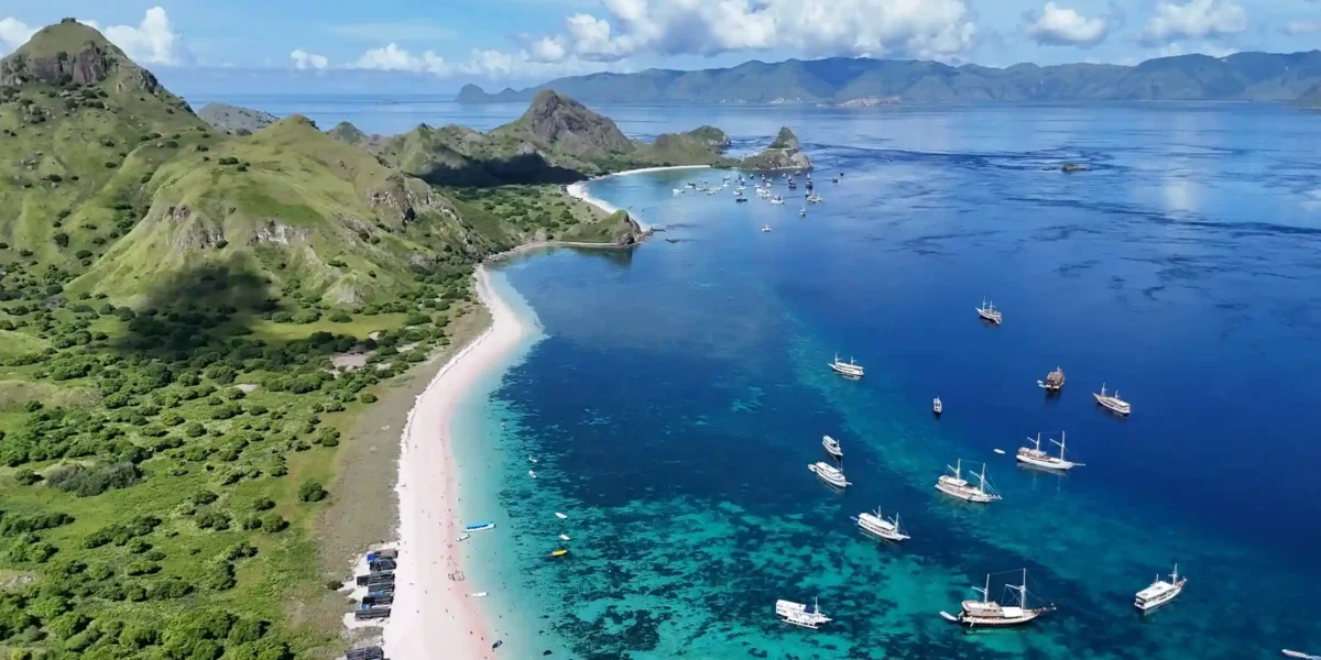 Pink Beach Komodo Sailing | Komodo Island tour | Komodo Luxury