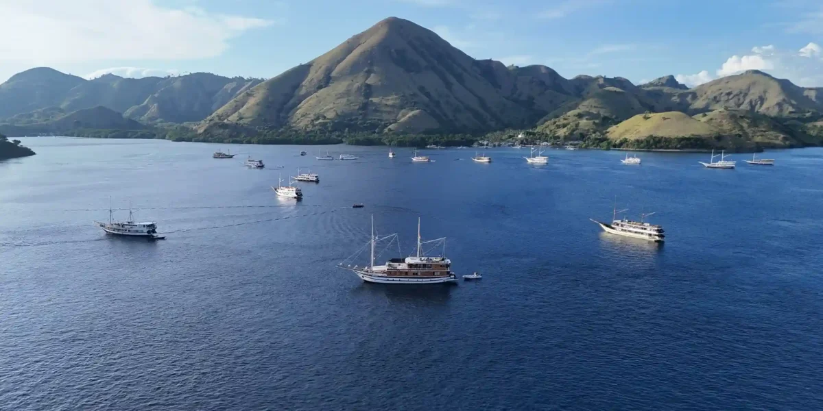 Can You Visit Komodo Island in June 2026? Find Out The Truth Here!