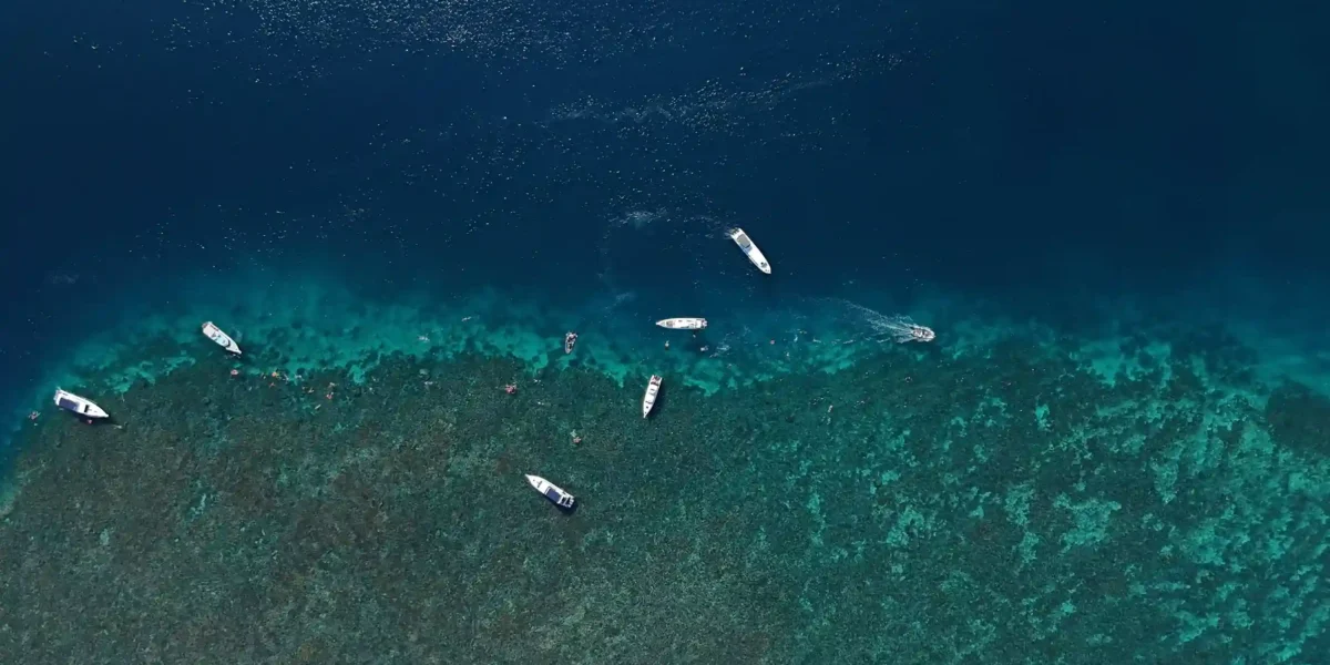 Sailing Komodo National Park | Komodo Luxury