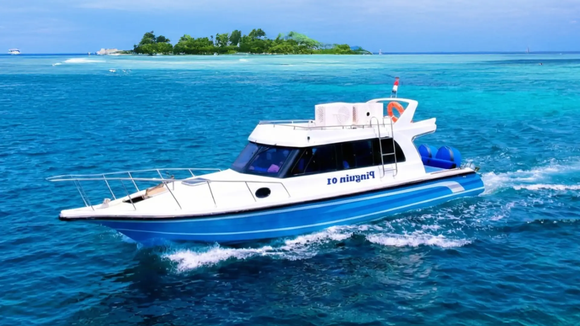 Pinguin Cruise Speedboat | Komodo Luxury